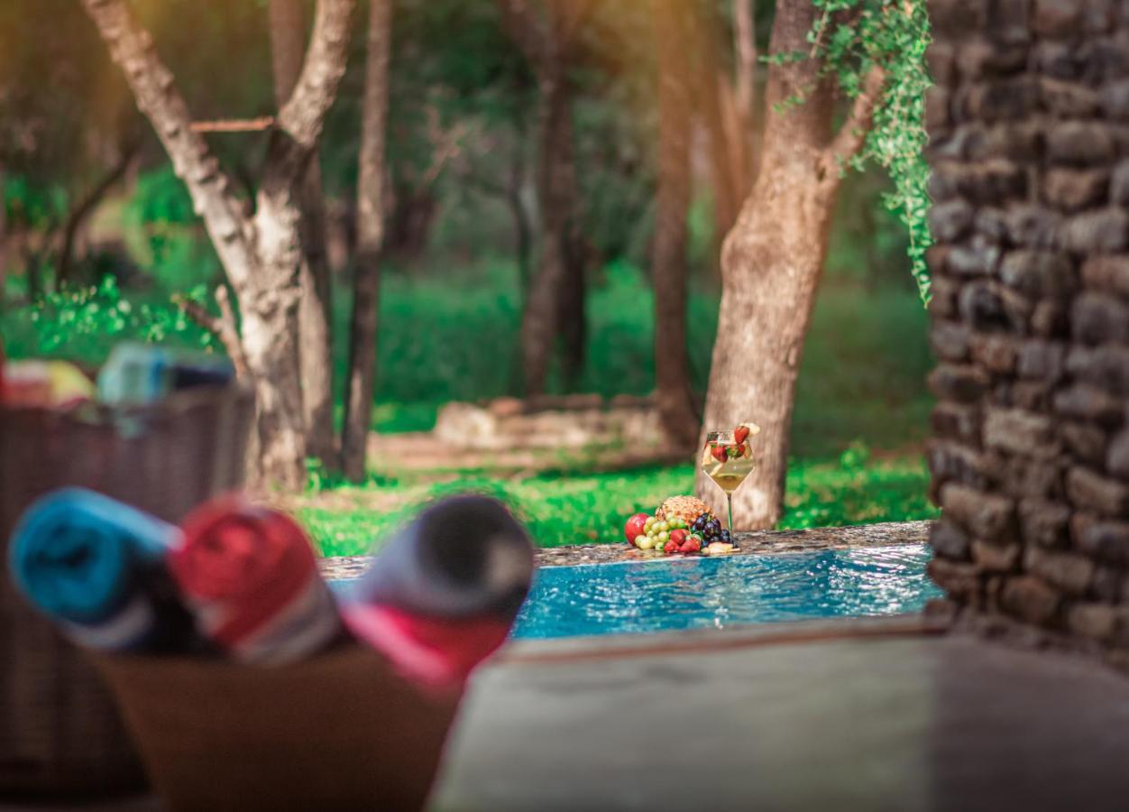 Dream Of Africa Bush Lodge マールロス・パーク エクステリア 写真