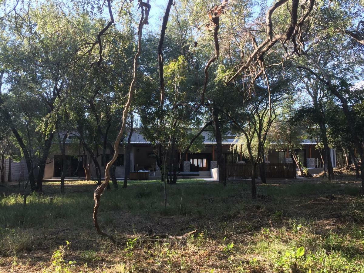 Dream Of Africa Bush Lodge マールロス・パーク エクステリア 写真