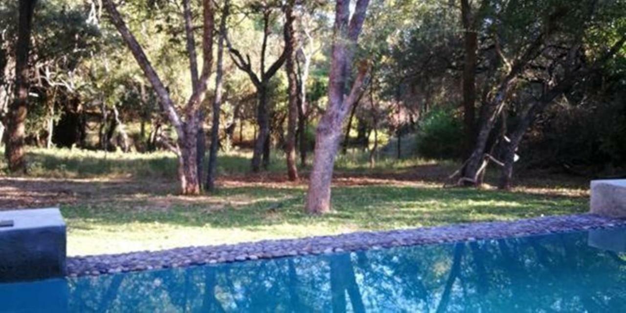 Dream Of Africa Bush Lodge マールロス・パーク エクステリア 写真