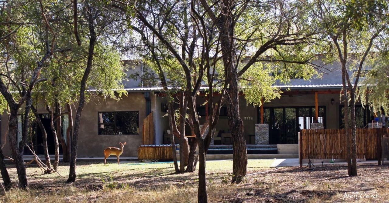 Dream Of Africa Bush Lodge マールロス・パーク エクステリア 写真